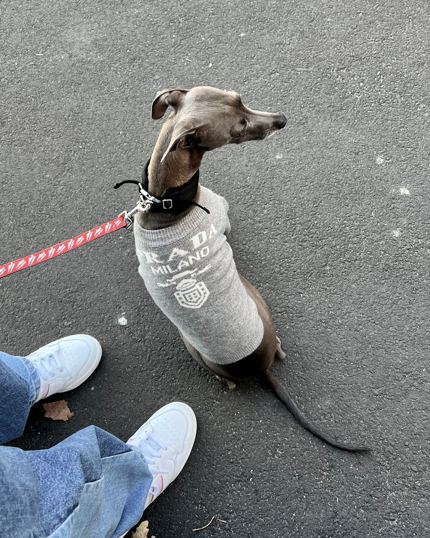 Prada or Nada Sweater in Grey