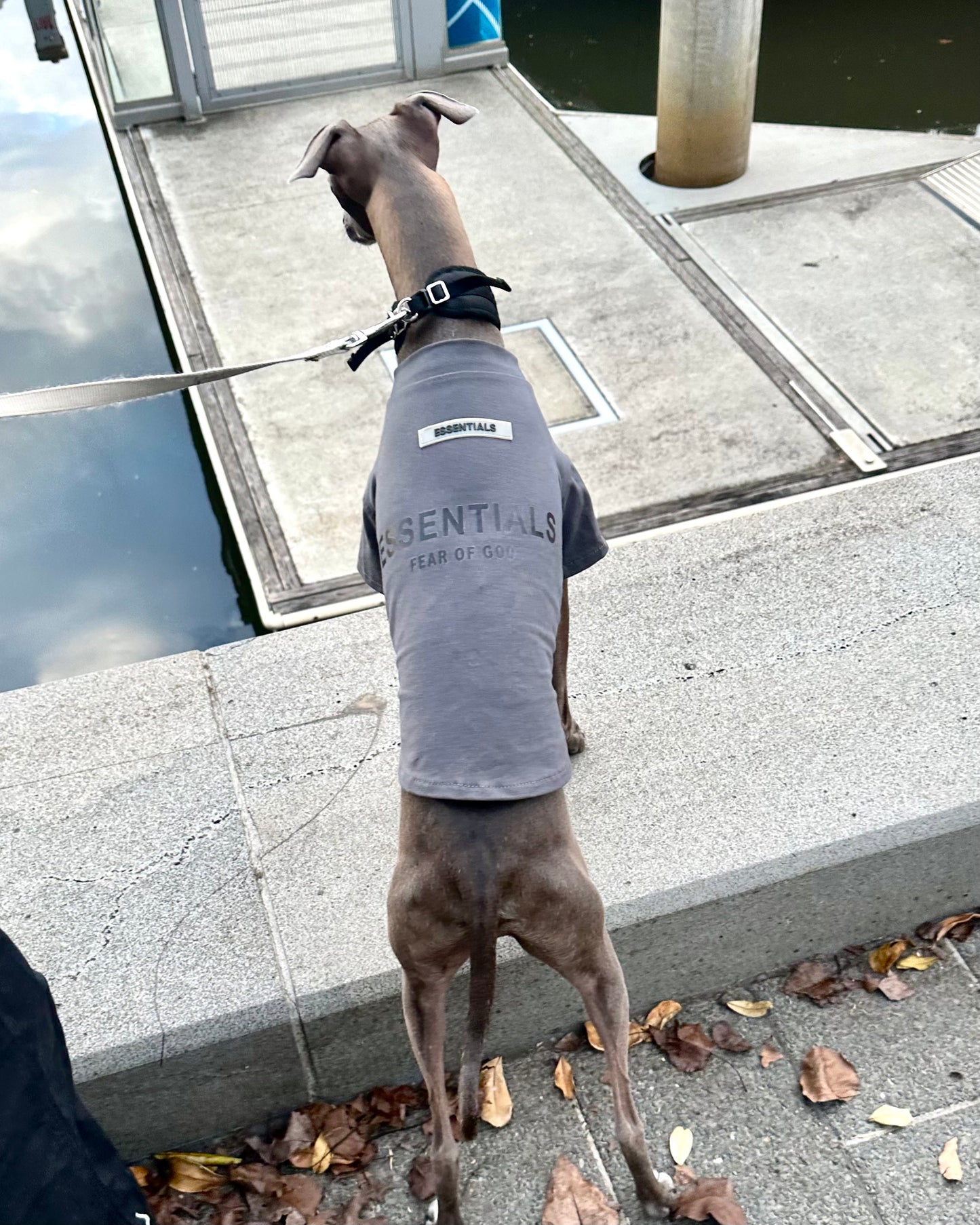 ESSENTIAL FOG TEE IN GREY